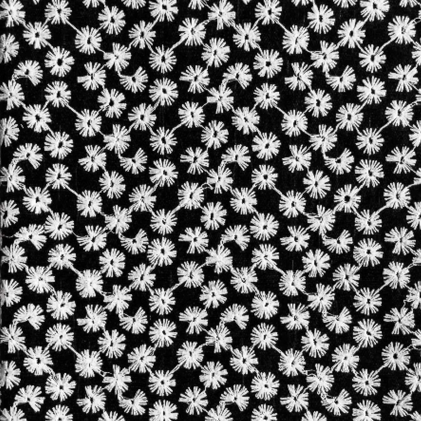 ORQUIDEA-004