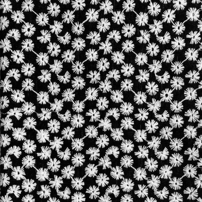 ORQUIDEA-004