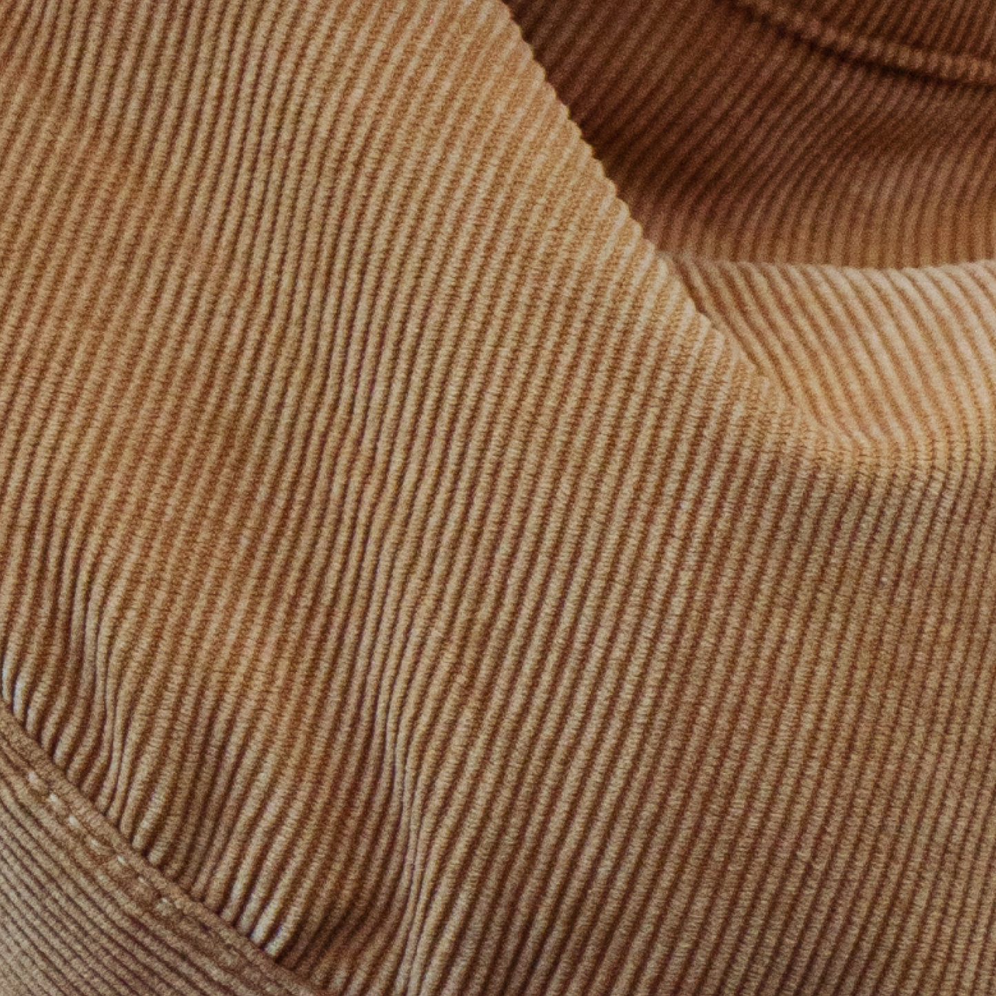 DALIA - 001