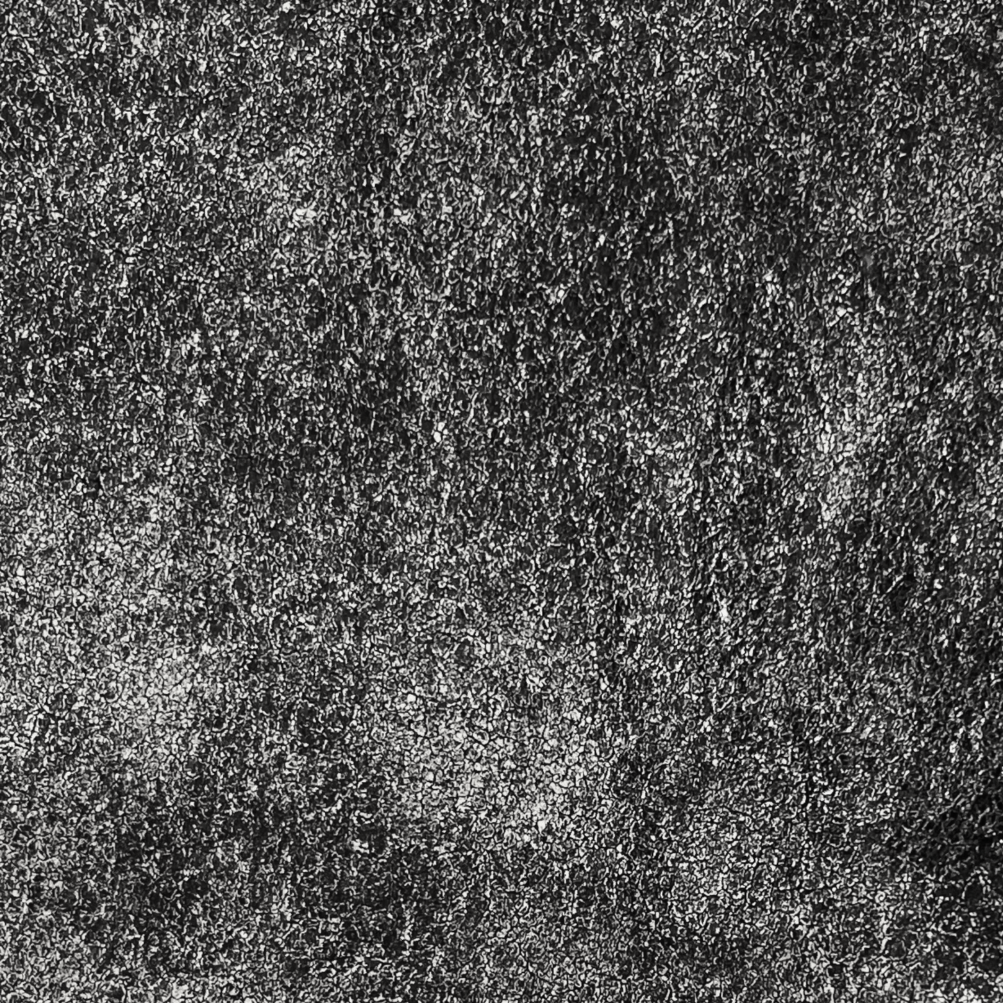DALIA - 005